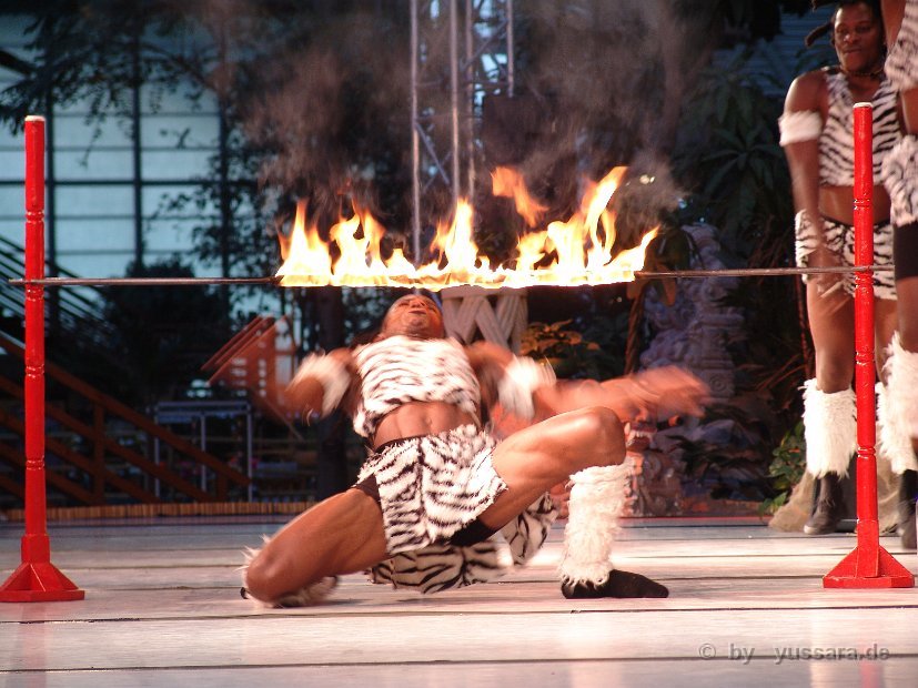 Karibik Show, karibische Tänzerinnen Tänzer, Limbo Show, Calypso, Merengue, Salsa, Reggaeton, Kizomba, Bachata, Soca Tanz Show. Exotisches Feuer der Karibik, original karibische Tänze. Yussara Dance Company, Yussara Cunha, Karibikshow